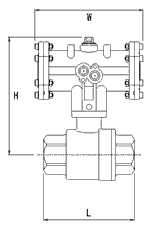 PNDSR GAIKEI